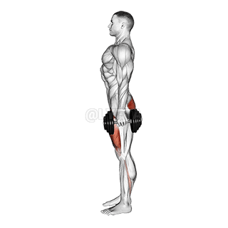 Dumbbell Squat