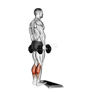 Standing Calf Raise
