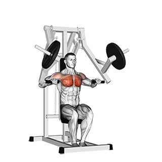 Lever Chest Press