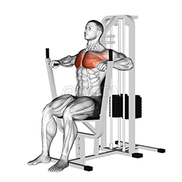 Lever Chest Press
