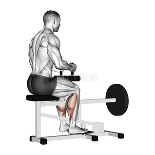 Lever Seated Calf Raise