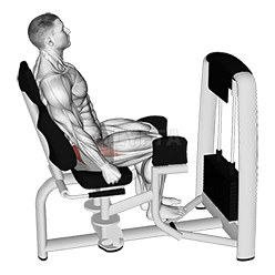 Lever Seated Hip Abduction
