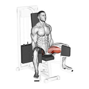 Lever Seated Hip Adduction