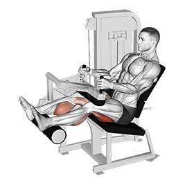 Lever Seated Leg Curl