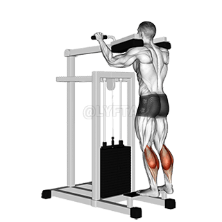 Lever Standing Calf Raise