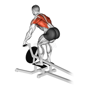 Lever T bar Row