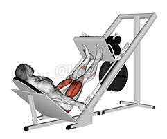 Sled 45° Leg Press
