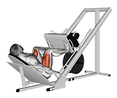 Sled 45° Leg Wide Press