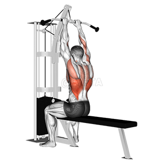 Close-Grip Front Lat Pulldown