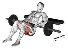 Hip Thrust