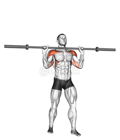 Barbell Standing Military Press 