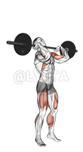 Push Press