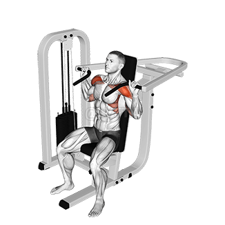Lever Seated Shoulder Press