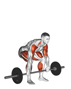 Barbell Clean Pull