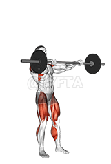 Barbell Muscle Snatch
