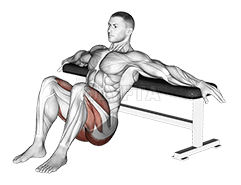 Hip Thrusts
