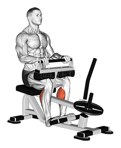 Lever Seated Calf Raise 