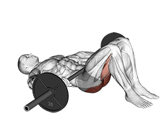 Barbell Glute Bridge 