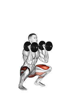 Dumbbell Front Squat