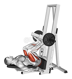 Sled Vertical Leg Press