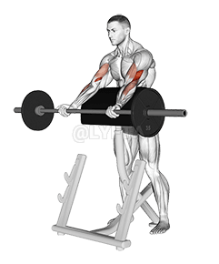 Barbell Spider Curl