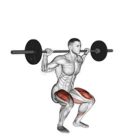 Thumbnail for the video of exercise: Barbell Narrow Stance Squat