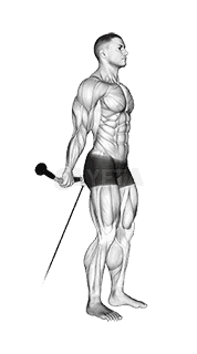 Thumbnail for the video of exercise: Cable Standing Back Wrist Curl