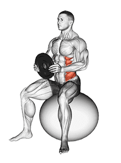 Thumbnail for the video of exercise: Weighted Seated Twist
