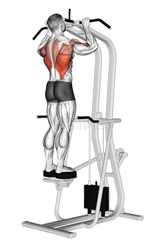 Thumbnail for the video of exercise: Assisted Standing Pull-up