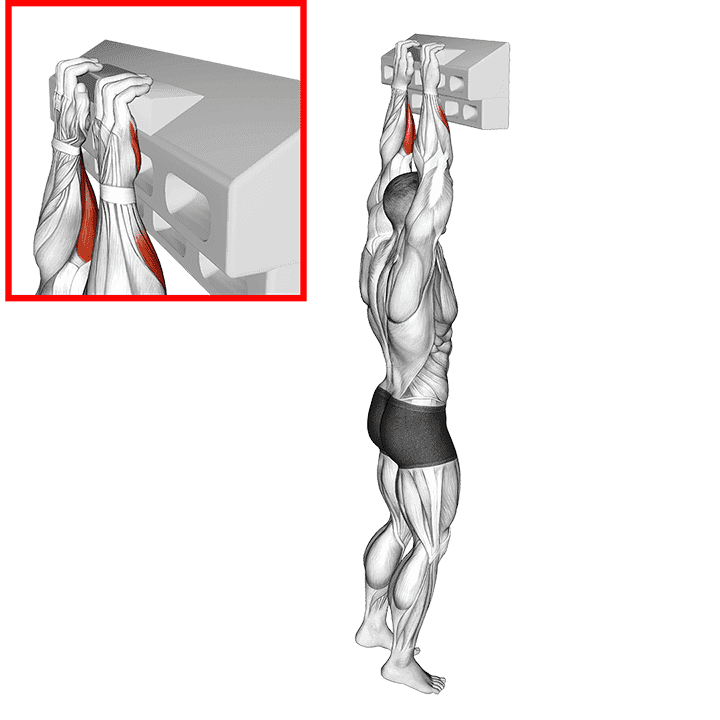 Thumbnail for the video of exercise: Handboard Half Crimp